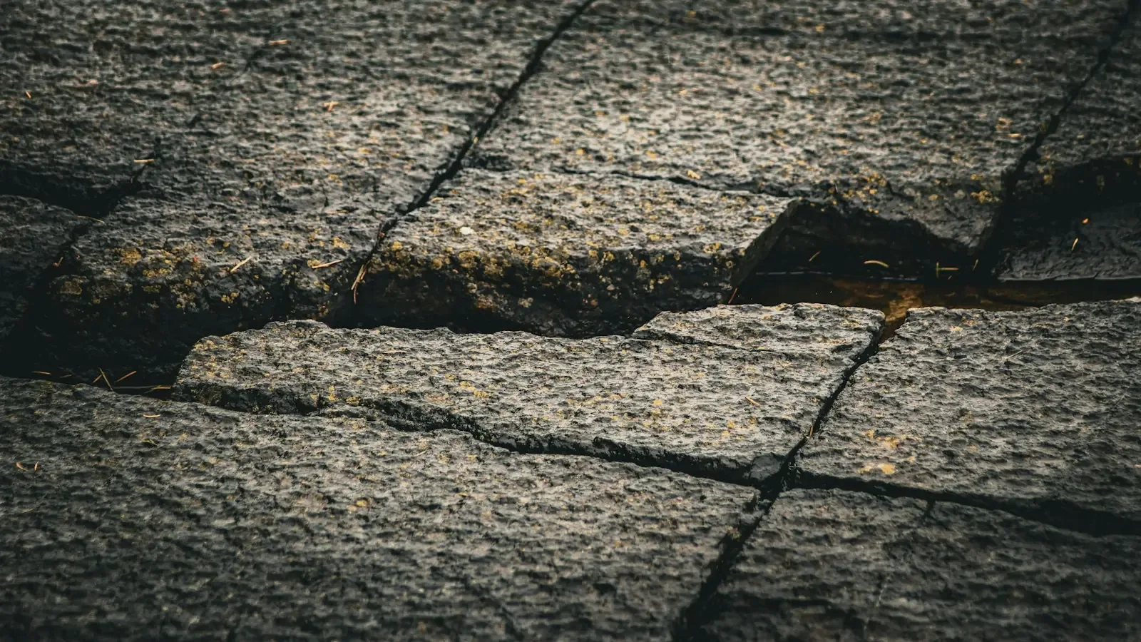 Flat Roof Repair