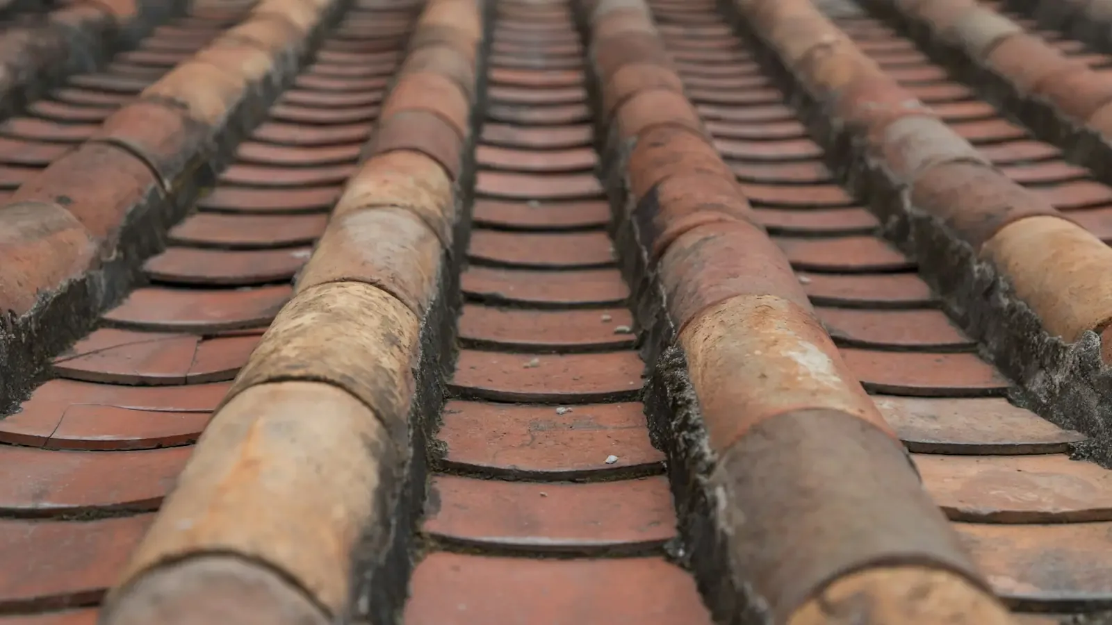 Metal Roof Repair